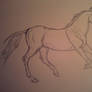 Uncoloured Horse