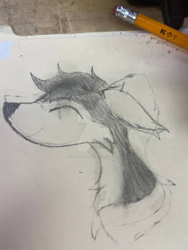 Wolf drawing 