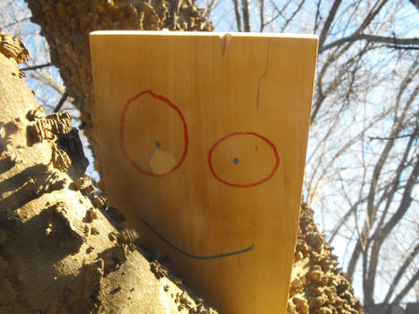 Plank Up a Tree