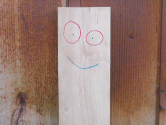 Plank and a Shed