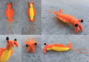 Plush Anomalocaris saron