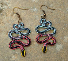 Madagascar Snake (Liophidium pattoni) Earrings 2