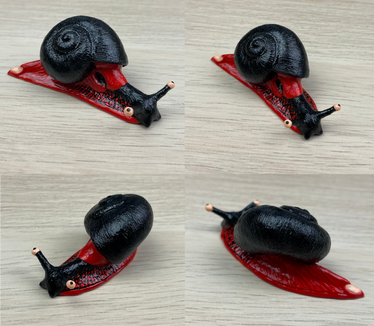 Fire Snail (Platymma tweediei) Sculpture 2