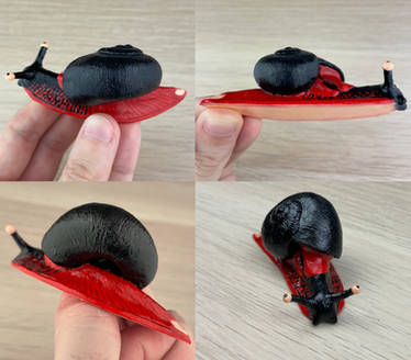 Fire Snail (Platymma tweediei) Sculpture 3