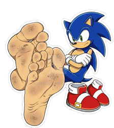 The hedge hog Sticker pack