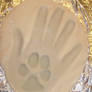 Paw Print in Hand Print :3