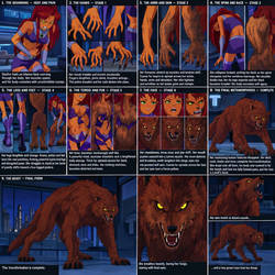 A Tamararian Werewolf In Jump City 2