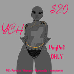 YCH: Lingerie Set Price - OPEN! [STILL AVAILABLE]