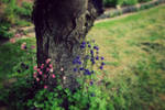 Tree/Flower