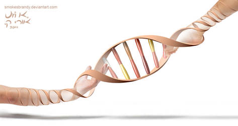 DNA Transformation 2