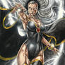 STORM X-MEN