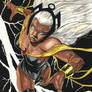 STORM X-MEN E-BAY AUCTION NOW !!!!