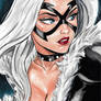 Black Cat E-BAY AUCTION NOW !!!!