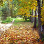 golden autumn - 2