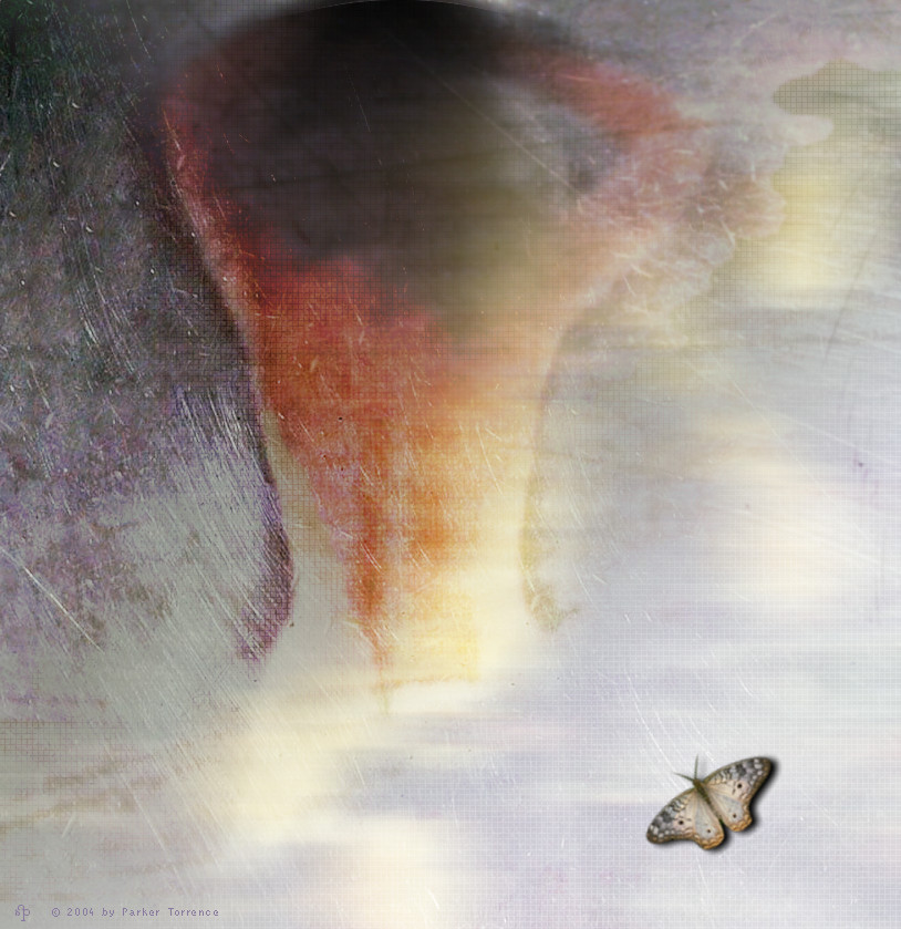 Butterfly Dream by parkerunfolded