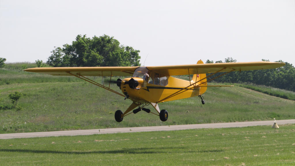 Piper Cub