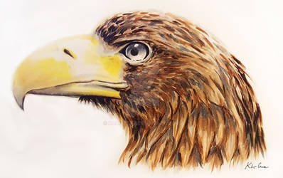 Eagle Head