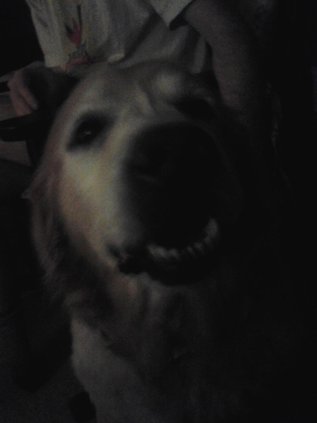 Ruby face by CorporalDeath49 on DeviantArt