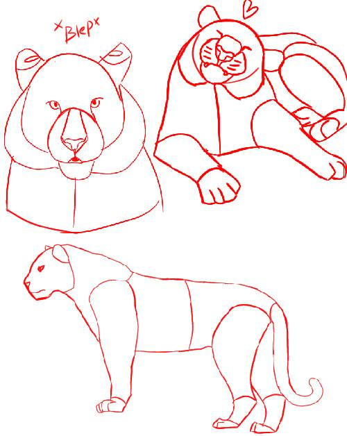 Tiger Ref Sheet By CarnageTheDog On DeviantArt