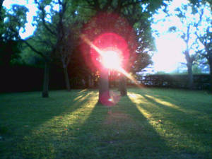 sunrise in my camera...