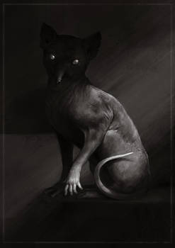 Cat from the novel by Tatyana Tolstaya