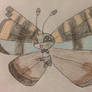 Agate Pattern Vivillon