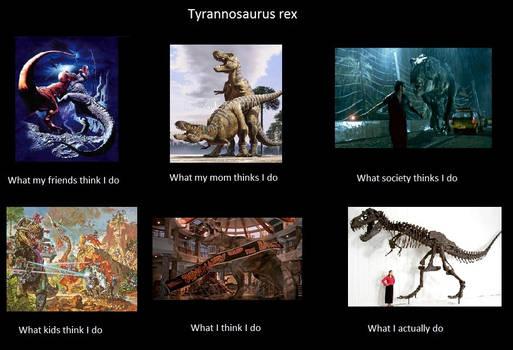 What T.rexes really do