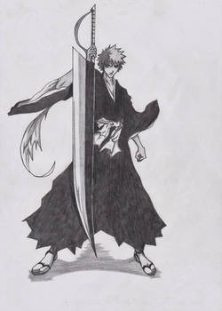 Ichigo ( shinigami )