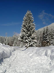 Mezaklja Snow