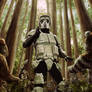 Biker Scout vs Ewoks