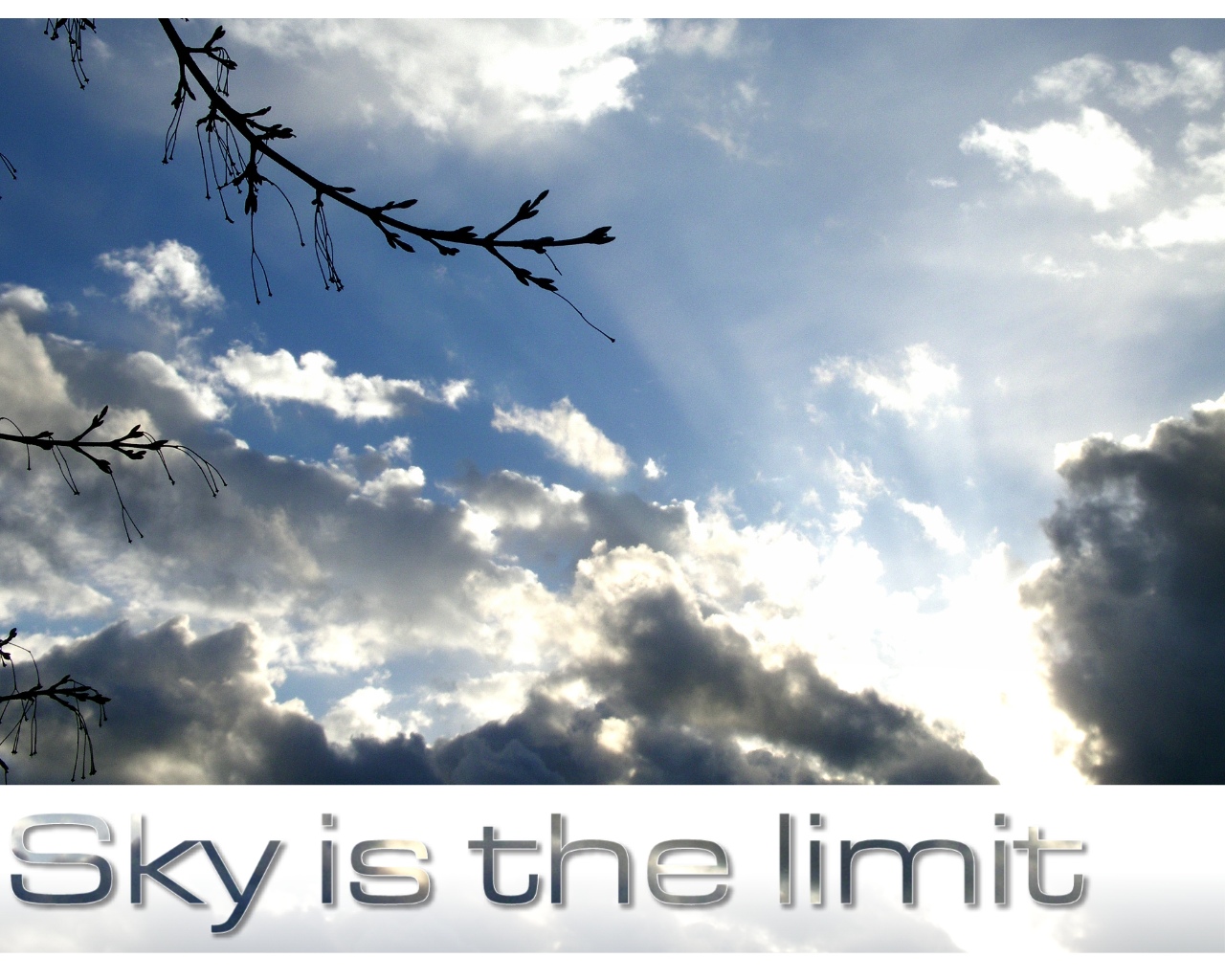 Ski is the Limit - WP