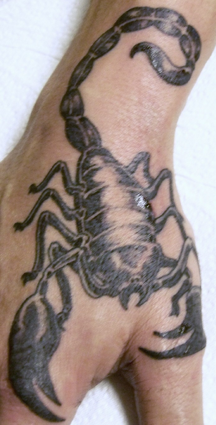 Scorpion 1