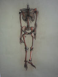skeleton in conte crayon