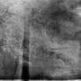 Wetphotoplate123015