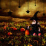 The Autumn Witch.