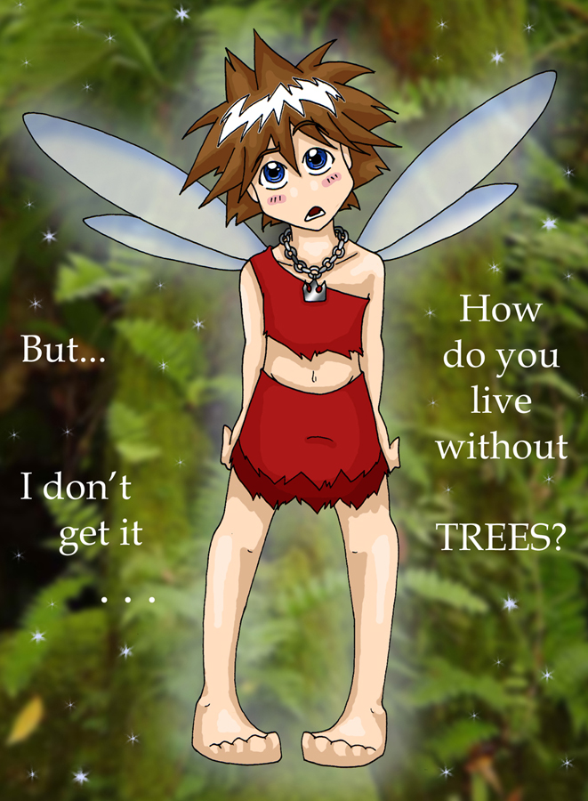 Environmentalist Fairy Sora