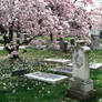 Spring in the Graveyard Five