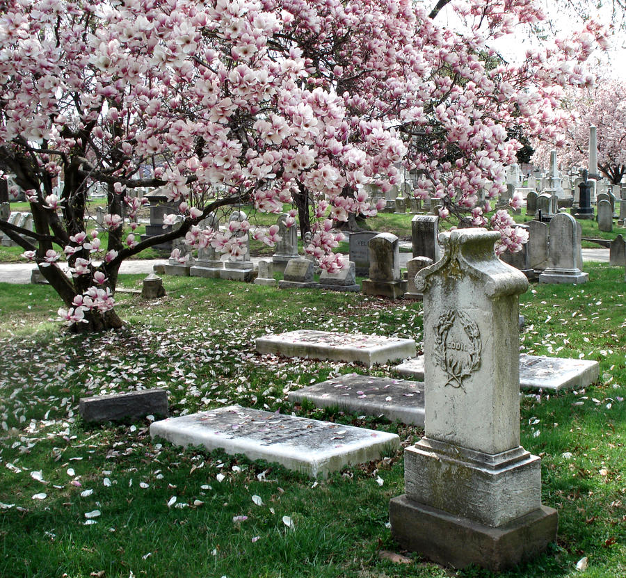 Spring Background Cemetery Spring in the Graveyard Five by Hatter23 on DeviantArt