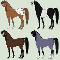 Stallion Adopts 2