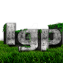 grass text  Style effect