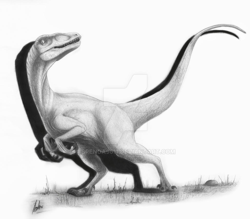 Raptor by Brenda9611 on DeviantArt