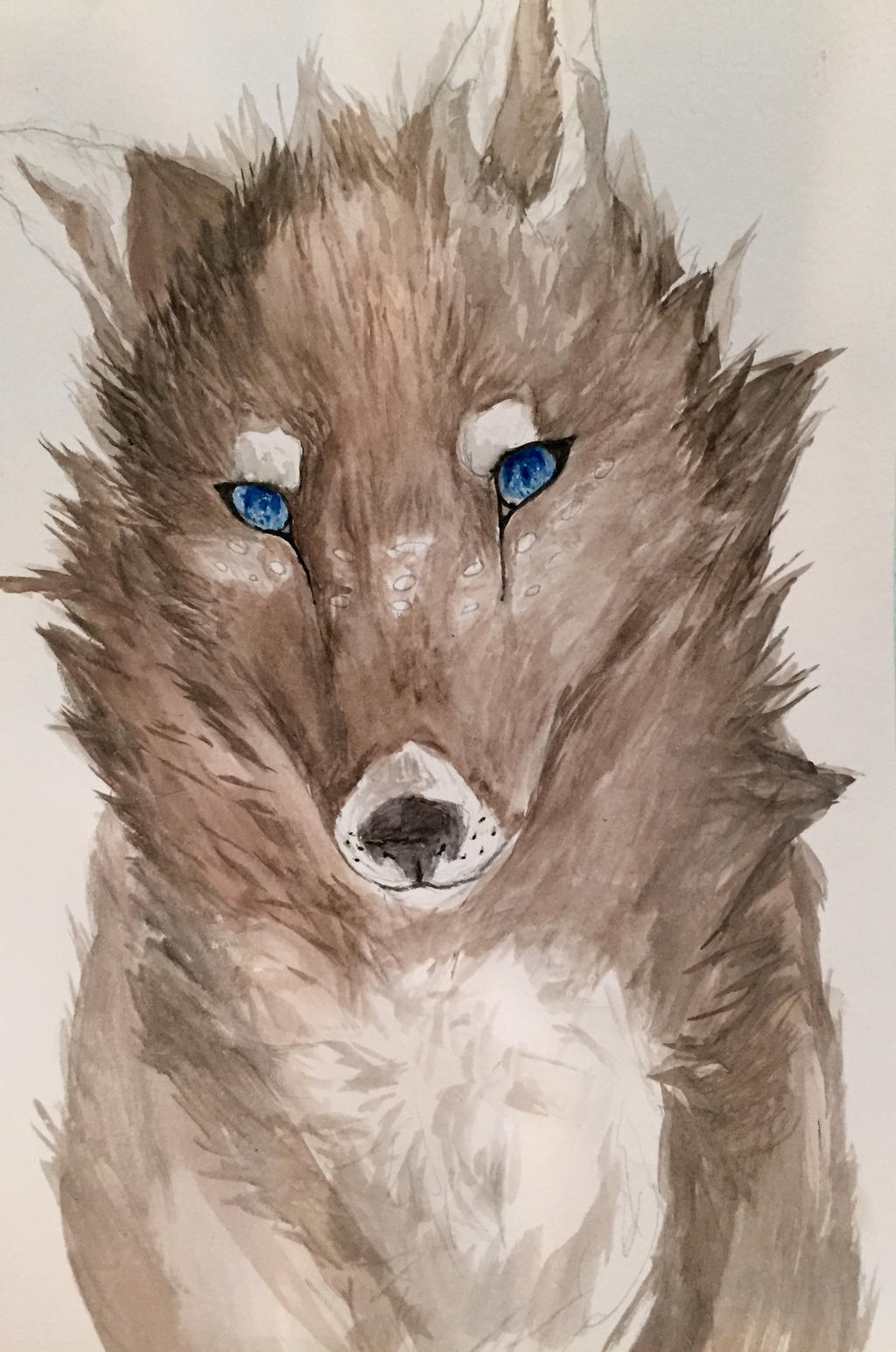 Watercolor wolf painting