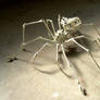 Endoskeleton Spider