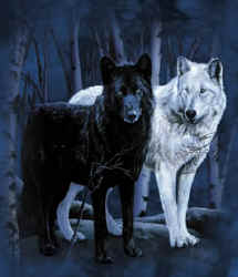 wolves