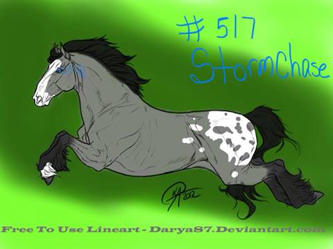 #517 StormChase OLD REF