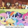 Insert your reaction here