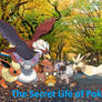 The Secret Life of Pokemons Cast