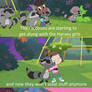 Raccoon Hoarder Picture Show ending in a Nutshell