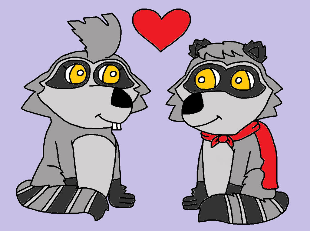 Raccoon Art Collecting