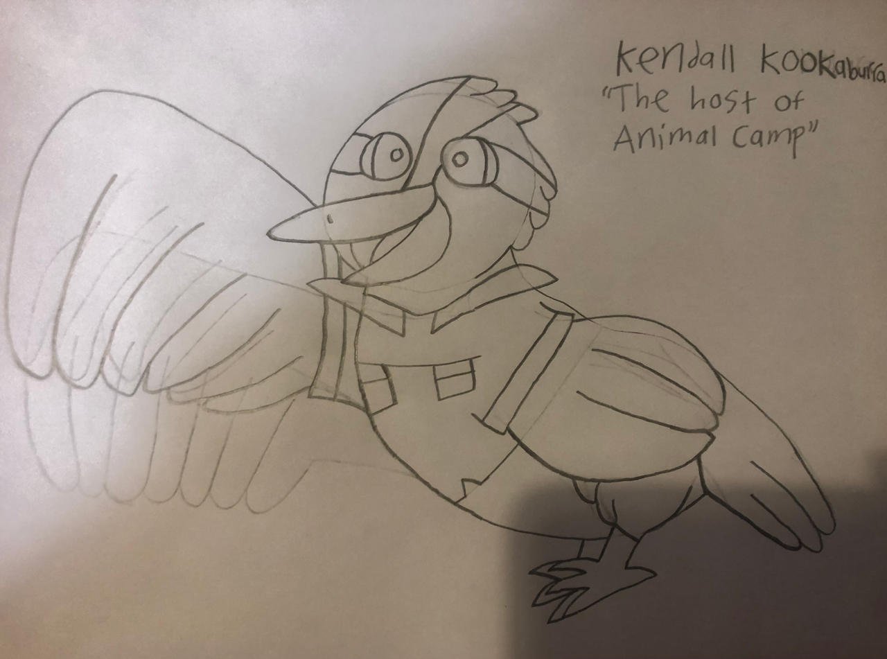 Animal Camp - Kendall Kookaburra Sketch Drawing